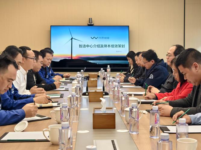 中国工程院重点咨询项目专家组调研纬景储能珠海"超g工厂"锌铁液流